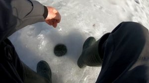 НАШЛИ ЛУЖУ С КАРАСЕМ! ЛОВЛЯ КАРАСЯ ЗИМОЙ! зимняя рыбалка на карася