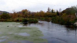 На реке Пышме