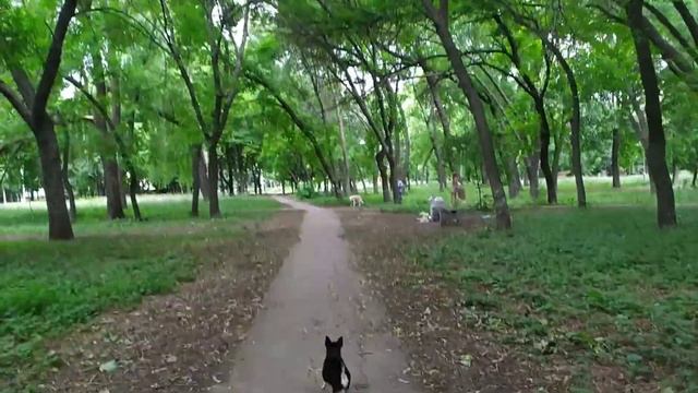 Донецк 2020 Парк Гулливер смотреть онлайн