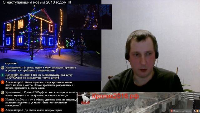 Предновогодняя субботняя прямая трансляция на канале Кролик2016.рф. смотреть онлайн