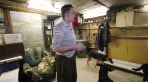 Как научить собаку прыгать?