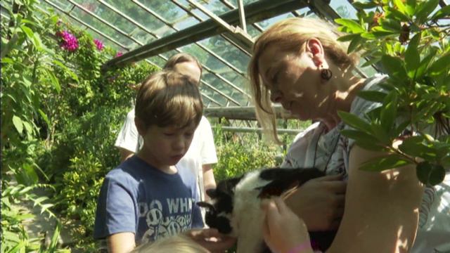 В оранжерее Сибирского института физиологии и биохимии растений СО РАН 13 лет трудится кошка Галина