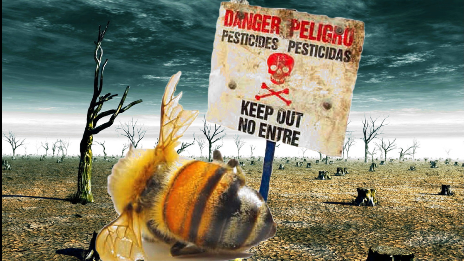 Вымирание пчел и насекомых ускорилось, экологическая катастрофа.mp4