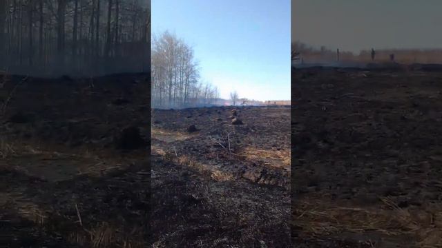 пожар сухостоя д майдан Кстовский район Нижегородская область смотреть онлайн