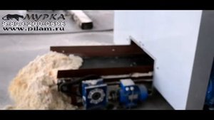 Ленточный транспортер для удаления опилок Алтай для 2Ц16 350