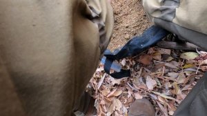 Принцип ловли рыбы осенью на поплавок