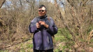 Нужен ли эхолинк радиолюбителю?