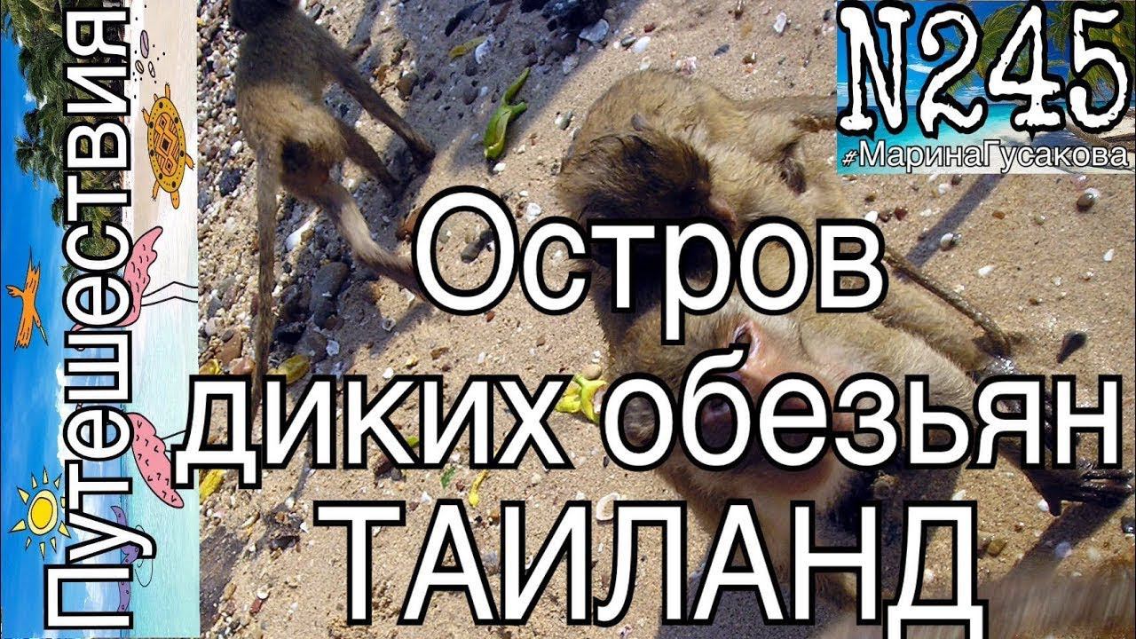 Таиланд Паттайя  Остров ДИКИХ обезьян  Голубая лагуна. Часть №17