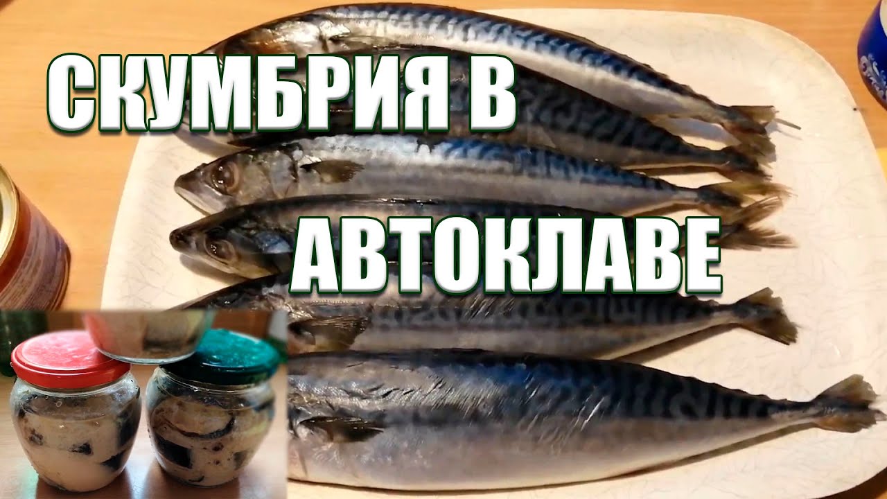 Cкумбрия в автоклаве | Интересный результат!