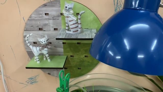 Много покупок в Фикс Прайс сентябрь 2019 смотреть онлайн