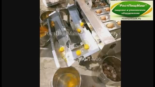 Машина для переработки яиц (разделение желтка и белка)  от РостПищМаш