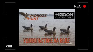 Плавающий шедевр!!! Белолобый гусь и гуменник!