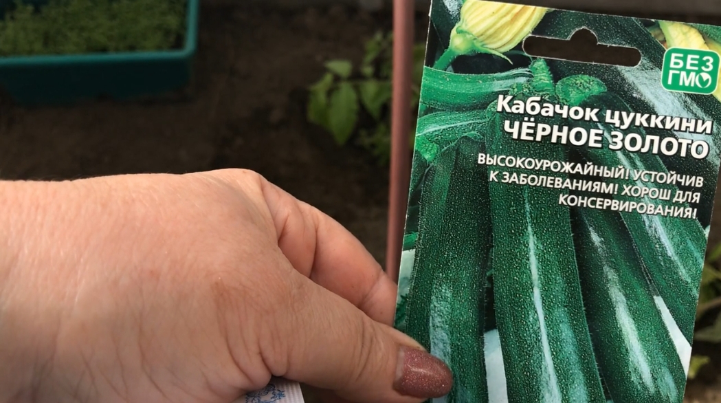 Как Вырастить  Кабачки рассадным способом