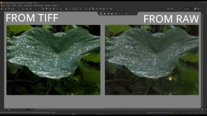 Is Topaz Denoise Ai Good For RAW as A First Step or As A Plugin, JPEG, TIFF and PSD Files?