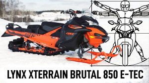 LYNX XTERRAIN BRUTAL 850 E-TEC: тест-драйв самого универсального снегохода в мире!