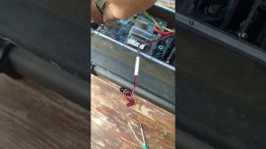 Самокат пищит при включении