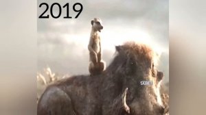 Король лев-Тимон и Пумба отвлекают гиен.1994/2019.