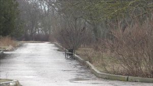 Керчь, заброшенный парк Войкова.