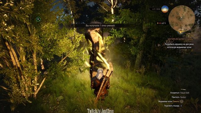 Бестия из белого сада. Ведьмак 3: Дикая охота (The Witcher 3: Wild Hunt) смотреть онлайн