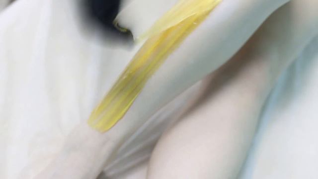 Шугаринг смотреть онлайн