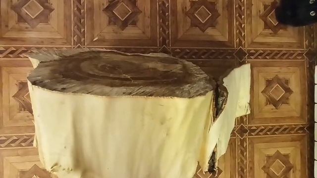 Проклятье чёрного кота! История волшебного пня часть 2 смотреть онлайн