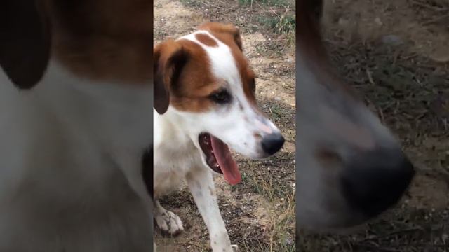 День вмф в Каспийске смотреть онлайн