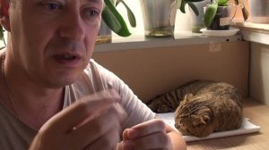 на ОРХИДЕЯХ мокрые полупрозрачные пятна, почему и что делать?