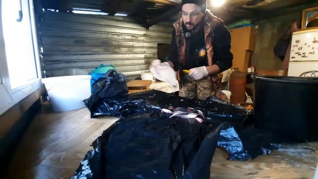 Шматую рибу,як дурний❌️Супер смачний Рецепт  з Товстолоба‼️Пивчики ‼️Бомбонув Коптильню‼️Лопати ??‼