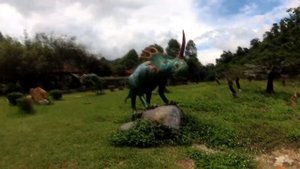 Эко-парк Янг Бэй. Нячанг. Вьетнам/ Eco-park Yang Bay. Nha Trang. Vietnam