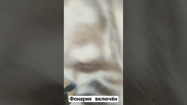 стих моего кота но в темноте (часть 2)