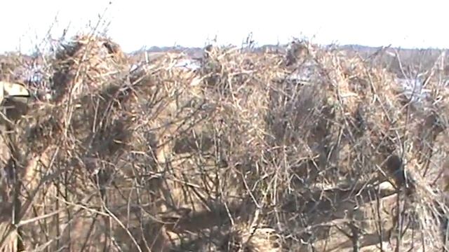 18.03.2022г. делаю скрадок для охоты на гуся. смотреть онлайн