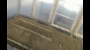 выращивание огурцов осень зима в теплице!