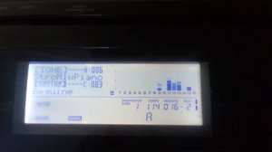 CASIO WK 6600 Beguine Style