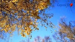 Березы.Муз.  Алексей   Познахарев . Сл.Николай   Рубцов .Диск"СИМ    ПОБЕДИШИ  " Исп.Автор.