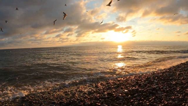 SOCHI 21.11.2020. ?ЛАЗАРЕВСКОЕ СЕГОДНЯ ?СОЧИ. смотреть онлайн