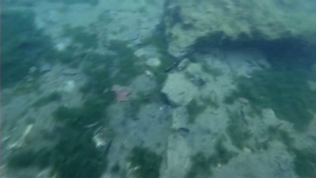 Нашел электросамока, GoPro и телефон Iphone, очки и другое в реке! Почистил реку с металлоискателем смотреть онлайн