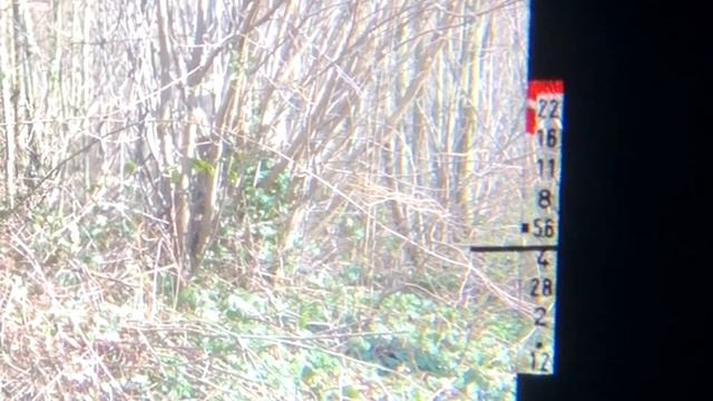 Watch this video before you buy a Canon AE-1 - Buying guide смотреть онлайн