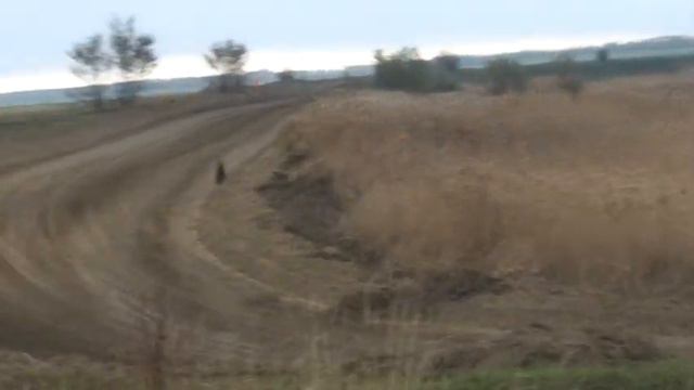 Ладовская Балка 10.11.2018г. Д2Н финал Б