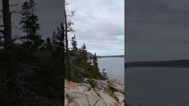 Fall Hikes At Acadia National Park #hikingdog #hikingadventures #dogtravel #husky #huskylife