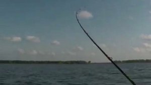 Троллинг на Рыбинском водохранилище