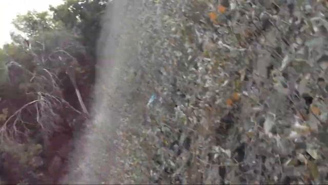 ОДИН ДЕНЬ С НЕФОРМАЛОМ . смотреть онлайн