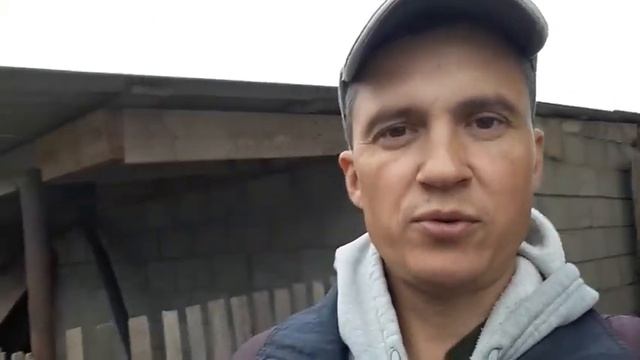 Топинамбур. Выращивание, посадка, хранение