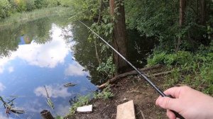 Открытие летнего сезона.  РОТАНИНГ 2020.mp4