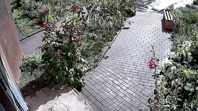 Подъезд смотреть онлайн