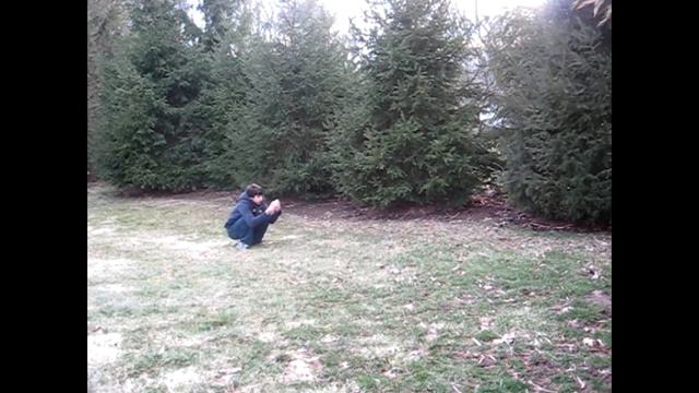 Petunia Tutorial Water Bottle Canon смотреть онлайн