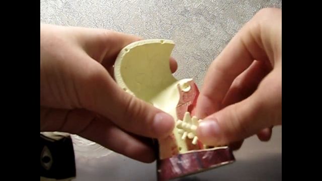 Обзор модели "Мозг и Череп"-Профессор Эйн 1# смотреть онлайн