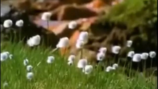 совершеный Бог.avi смотреть онлайн