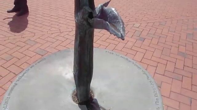 Украинская Венеция, Аккерман, Шабо - день4 (Шабо, экскурсия) смотреть онлайн