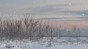 ЮЛИЯ МИХАЛЬЧИК МЕТЕЛЬ
