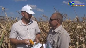 ЗЕМЛЯНЕ - Оценка биологической урожайности кукурузы